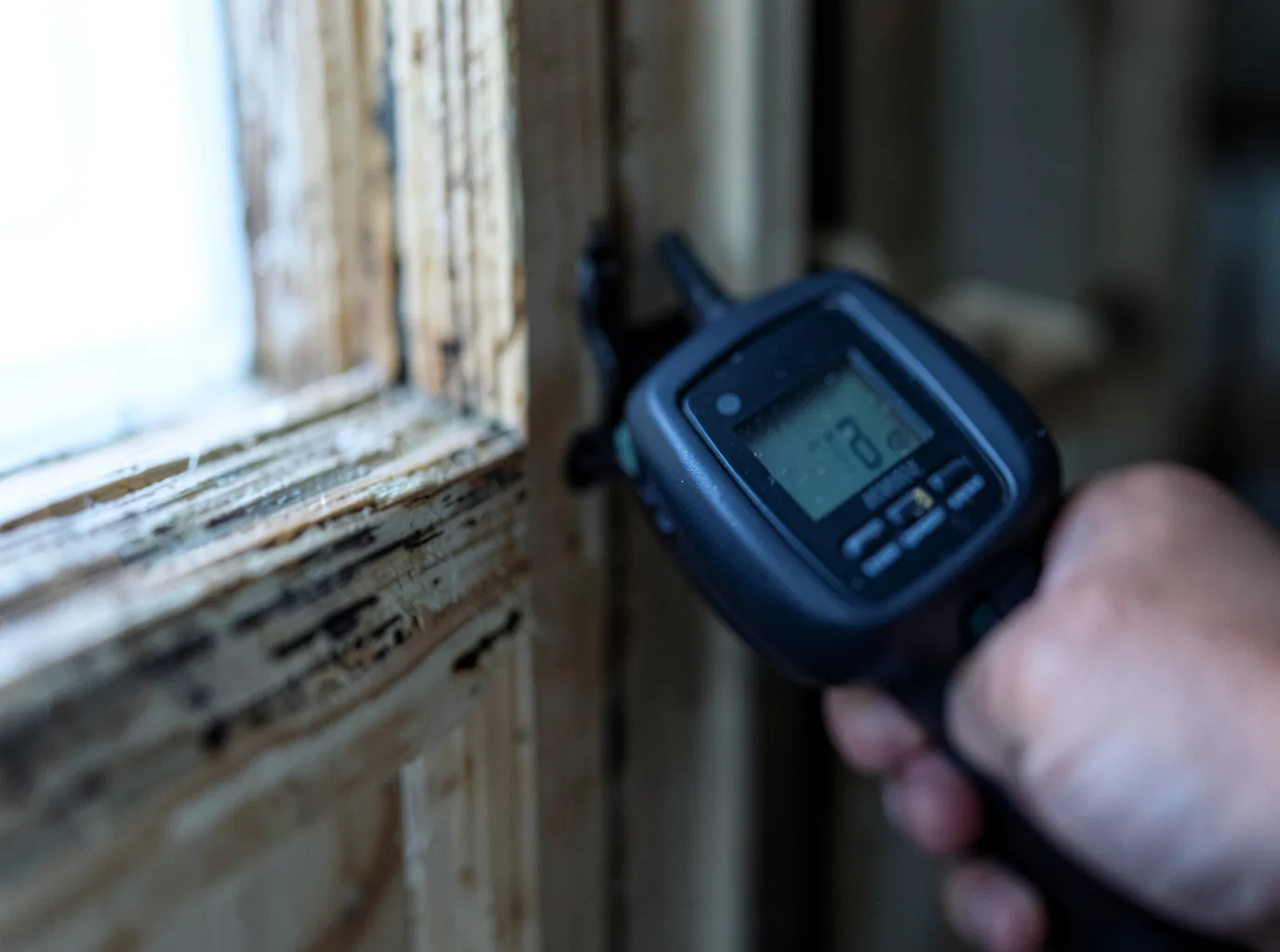Ceiling Water Damage Repair in Elk Rapids, MI